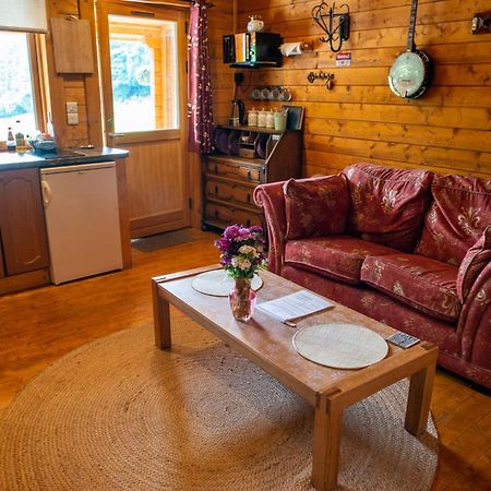 Blossom Cabin - Little Log Cabin In Wales Newtown  Buitenkant foto