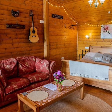 Blossom Cabin - Little Log Cabin In Wales Newtown  Buitenkant foto