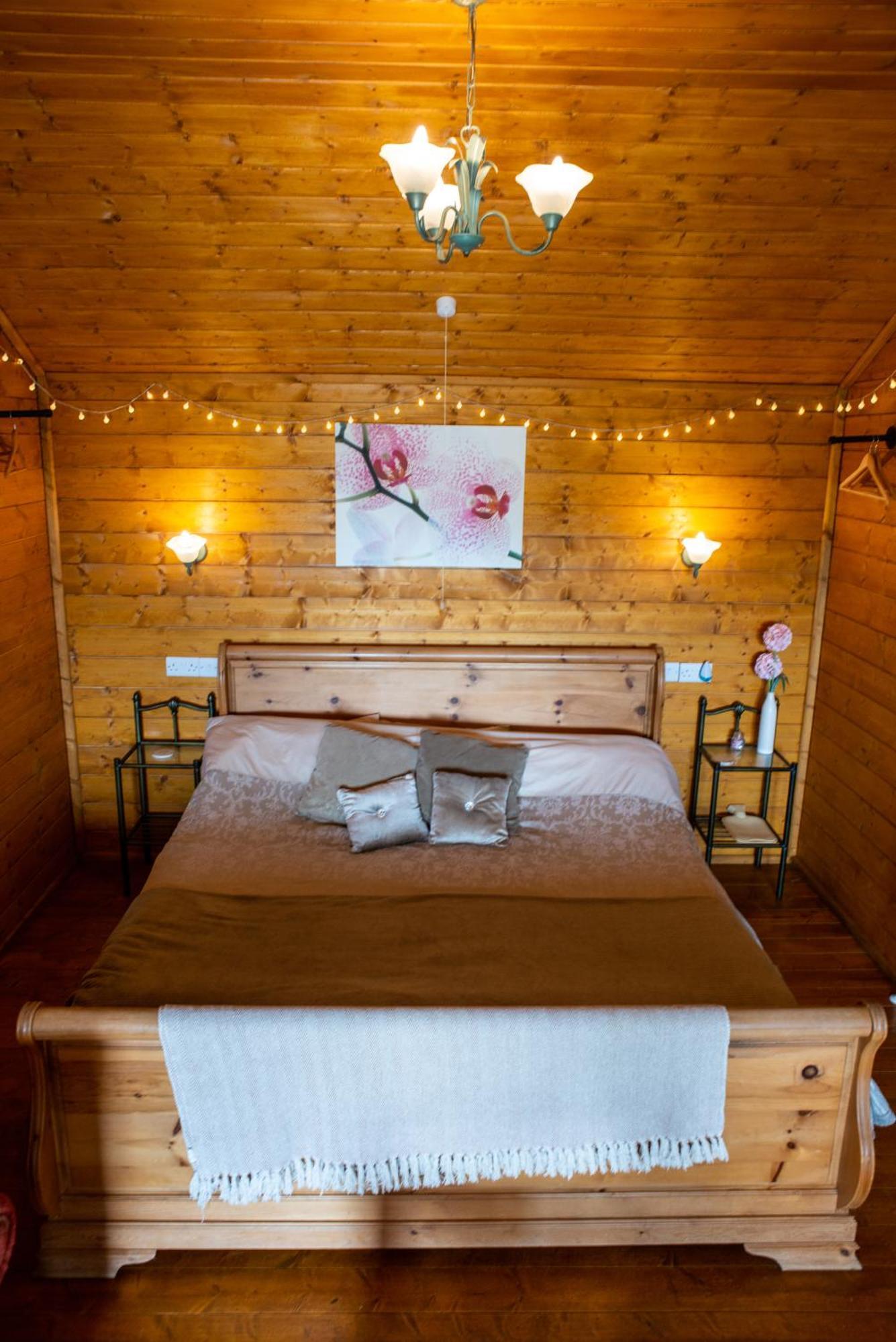 Blossom Cabin - Little Log Cabin In Wales Newtown  Buitenkant foto