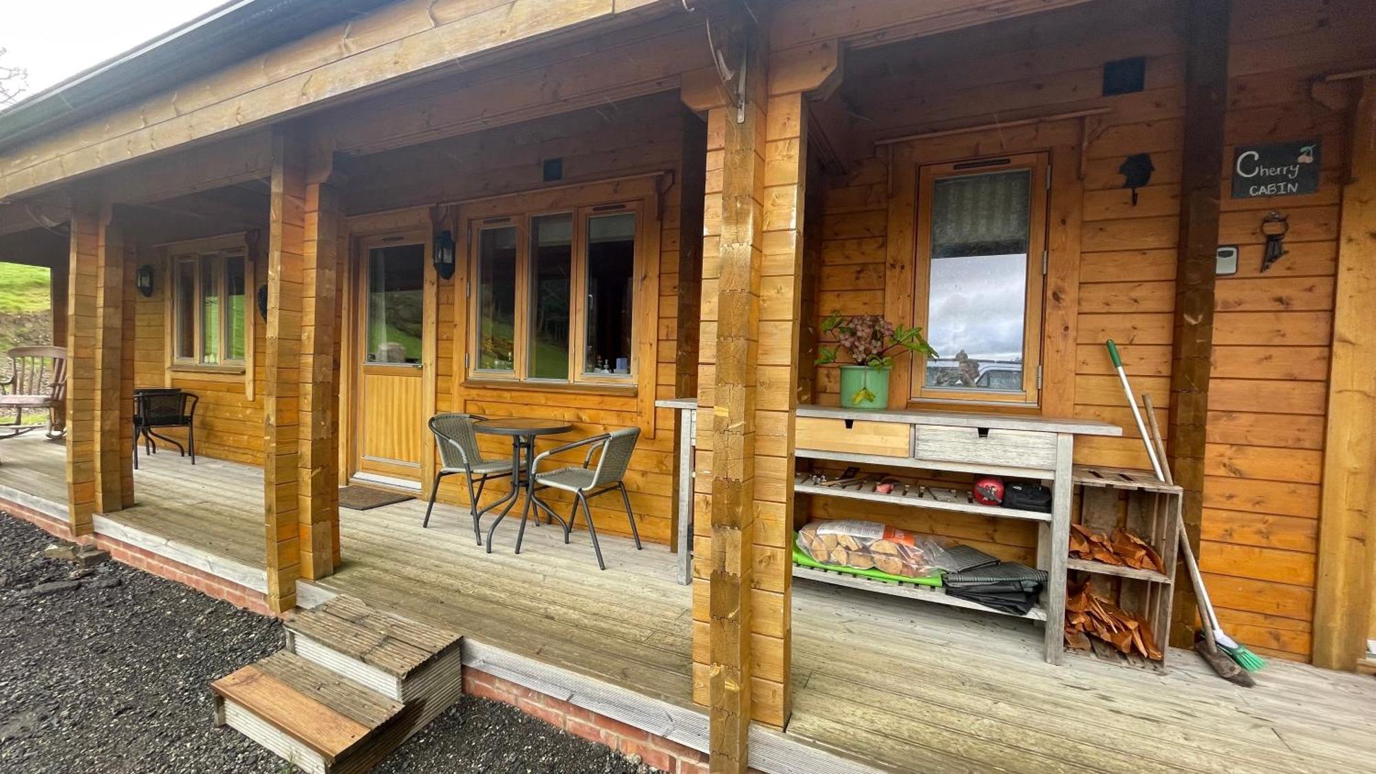 Blossom Cabin - Little Log Cabin In Wales Newtown  Buitenkant foto