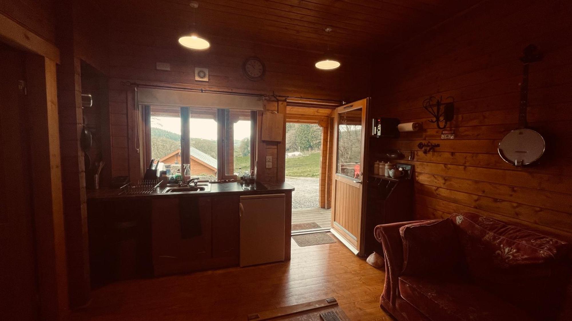 Blossom Cabin - Little Log Cabin In Wales Newtown  Buitenkant foto