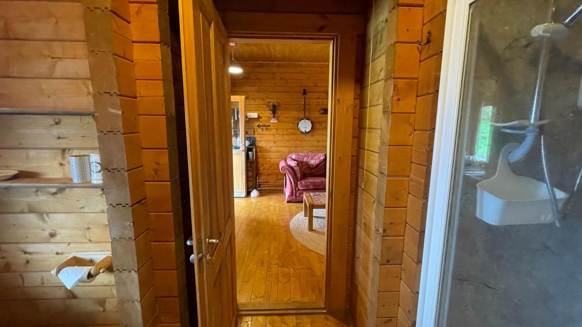 Blossom Cabin - Little Log Cabin In Wales Newtown  Buitenkant foto