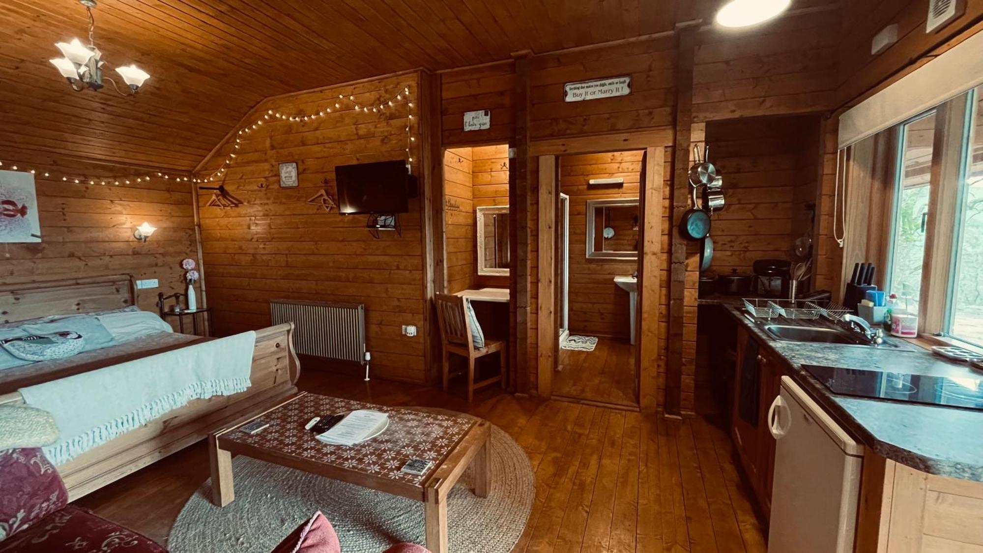 Blossom Cabin - Little Log Cabin In Wales Newtown  Buitenkant foto